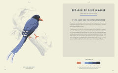 Alternative view 4 of Coloready Birds: 20 Modern Paint-by-Number Prints