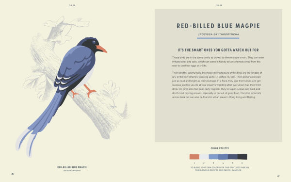 Coloready Birds: 20 Modern Paint-by-Number Prints