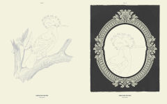 Alternative view 6 of Coloready Birds: 20 Modern Paint-by-Number Prints