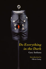 Title: Do Everything in the Dark, Author: Gary Indiana
