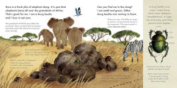 Alternative view 2 of Small Mighty Dung Beetle (Start Small, Think Big #6)