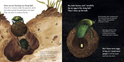 Alternative view 7 of Small Mighty Dung Beetle (Start Small, Think Big #6)