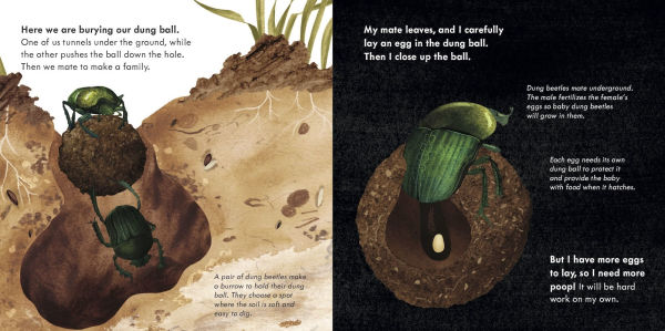 Small Mighty Dung Beetle (Start Small, Think Big #6)
