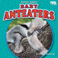 Title: Baby Anteaters, Author: Jennifer Boothroyd