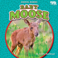 Title: Baby Moose, Author: Jennifer Boothroyd