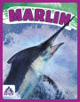 Marlin