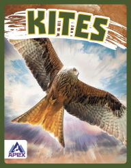 Title: Kites, Author: Connor Stratton