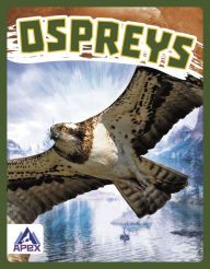Title: Ospreys, Author: Connor Stratton