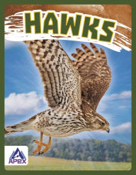 Title: Hawks, Author: Megan Gendell