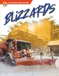 Title: Blizzards, Author: Sharon Dalgleish