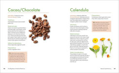 Alternative view 5 of The Big Book of Herbal Medicine: 300 Natural Remedies for Health and Wellness