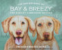 The Adventures of Bay and Breezy: The Dudley Labrador Sisters