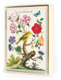 Floreale Boxed Notecards