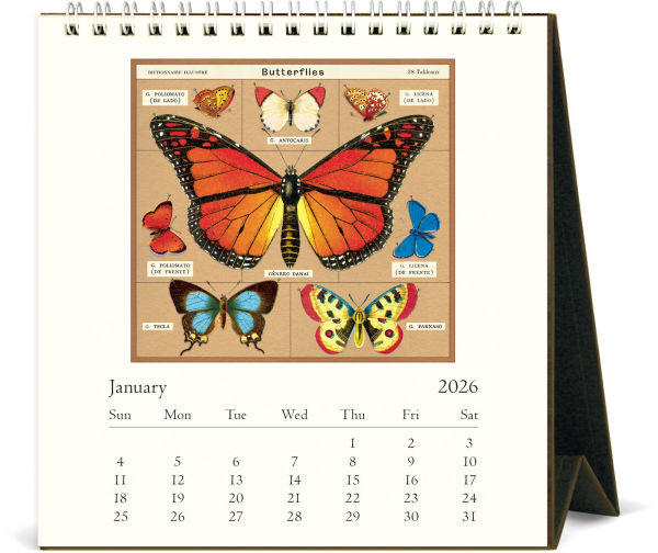 2026 Cavallini Butterflies Desk Calendar