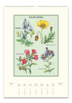 Alternative view 2 of 2026 Cavallini Wildflowers Wall Calendar