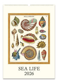Title: 2026 Cavallini Sea Life Wall Calendar