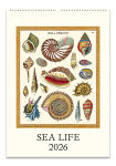 Alternative view 1 of 2026 Cavallini Sea Life Wall Calendar