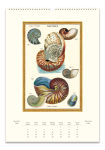 Alternative view 2 of 2026 Cavallini Sea Life Wall Calendar