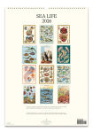 Alternative view 3 of 2026 Cavallini Sea Life Wall Calendar