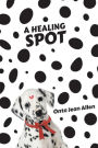 A Healing Spot
