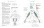 Alternative view 2 of Yoga Anatomy Coloring Book: A Visual Guide to Form, Function, and Movement