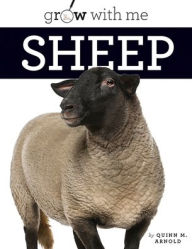 Title: Sheep, Author: Quinn M Arnold