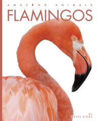 Title: Flamingos, Author: Kate Riggs