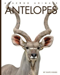 Title: Antelopes, Author: Kate Riggs