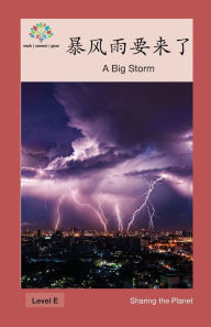 Title: 暴风雨要来了: A Big Storm, Author: Washington Yu Ying Pcs