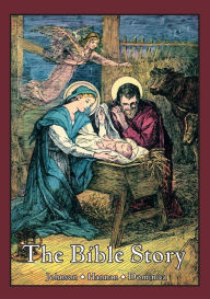 Title: The Bible Story: A Textbook in Biographical Form for Use of the Lower Grades of Catholic Schools, Author: George Johnson