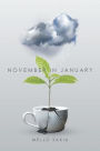 November in January