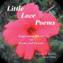 Little Love Poems