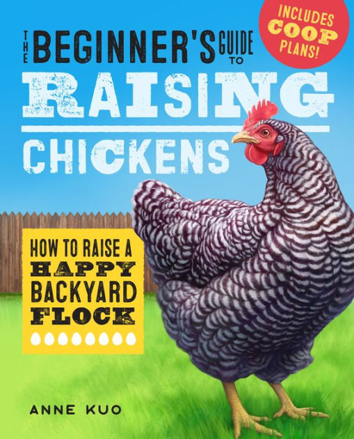 Chicken Fencing  Keeping Chickens: A Beginners Guide