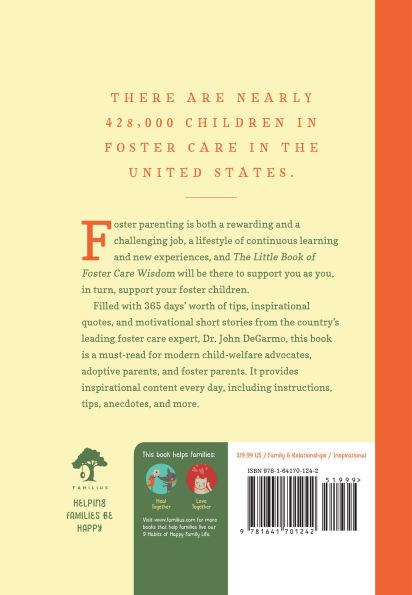 The Little Book of Foster Care Wisdom: 365 Days of Inspiration and Encouragement for Foster Care Families