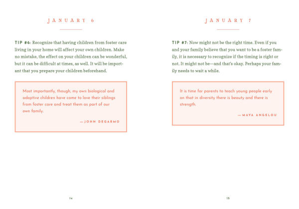 The Little Book of Foster Care Wisdom: 365 Days of Inspiration and Encouragement for Foster Care Families