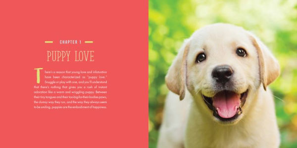 Dogs Will Be Dogs: The Ultimate Dog Quote Book