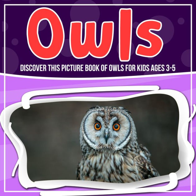 Owls Discover This Picture Book Of Owls For Kids Ages 38 by Bold Kids NOOK Book (NOOK Kids