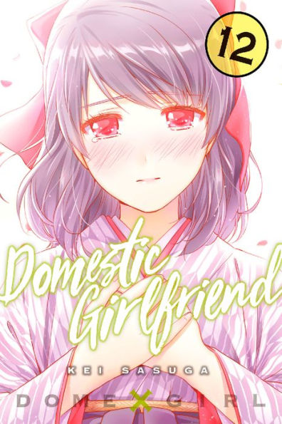 Domestic Girlfriend, Volume 12