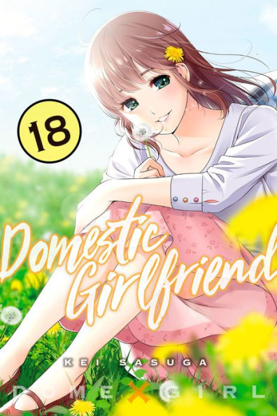 Domestic Girlfriend, Volume 18