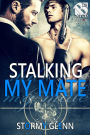 Stalking My Mate [Assassins Inc. 5] (Siren Publishing The Stormy Glenn ManLove Collection)