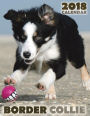 Border Collie 2018 Calendar