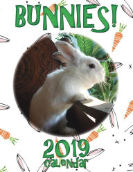 Title: Bunnies! 2019 Calendar, Author: Sea Wall