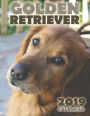 Golden Retriever 2019 Calendar