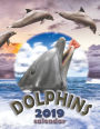 Dolphins 2019 Calendar