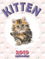 Kitten 2019 Calendar
