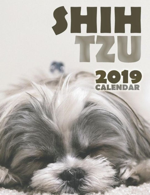 Calendrier 2019 SHIH TZU 