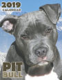 Pit Bull 2019 Calendar