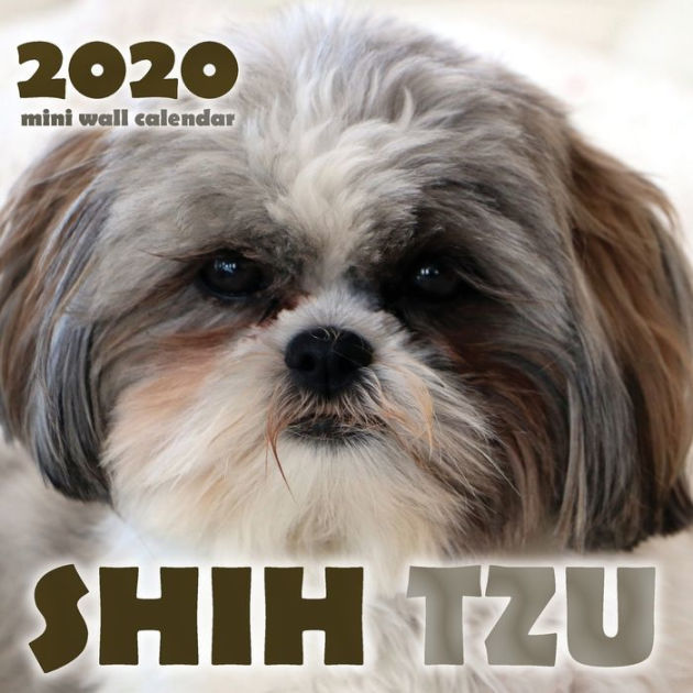 Shih Tzu 2020 Mini Wall Calendar by Over the Wall Dogs, Paperback