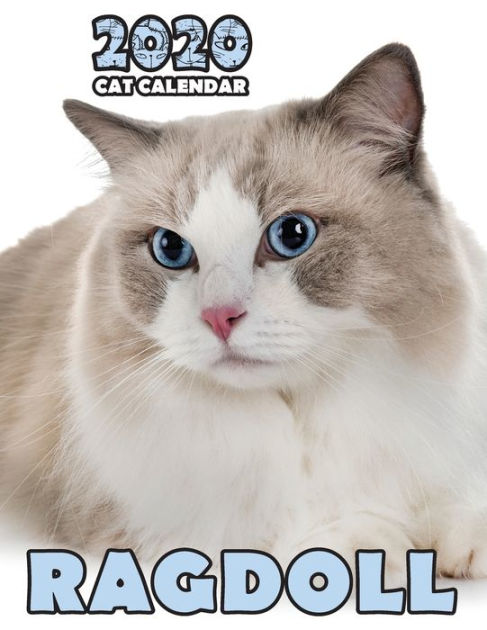 Ragdoll 2020 Cat Calendar by Climbing Wall Cats, Paperback | Barnes Ragdoll 2020 Cat Calendar by Climbing Wall Cats, Paperback | Barnes