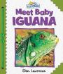 Active Minds Explorers: Meet Baby Iguana